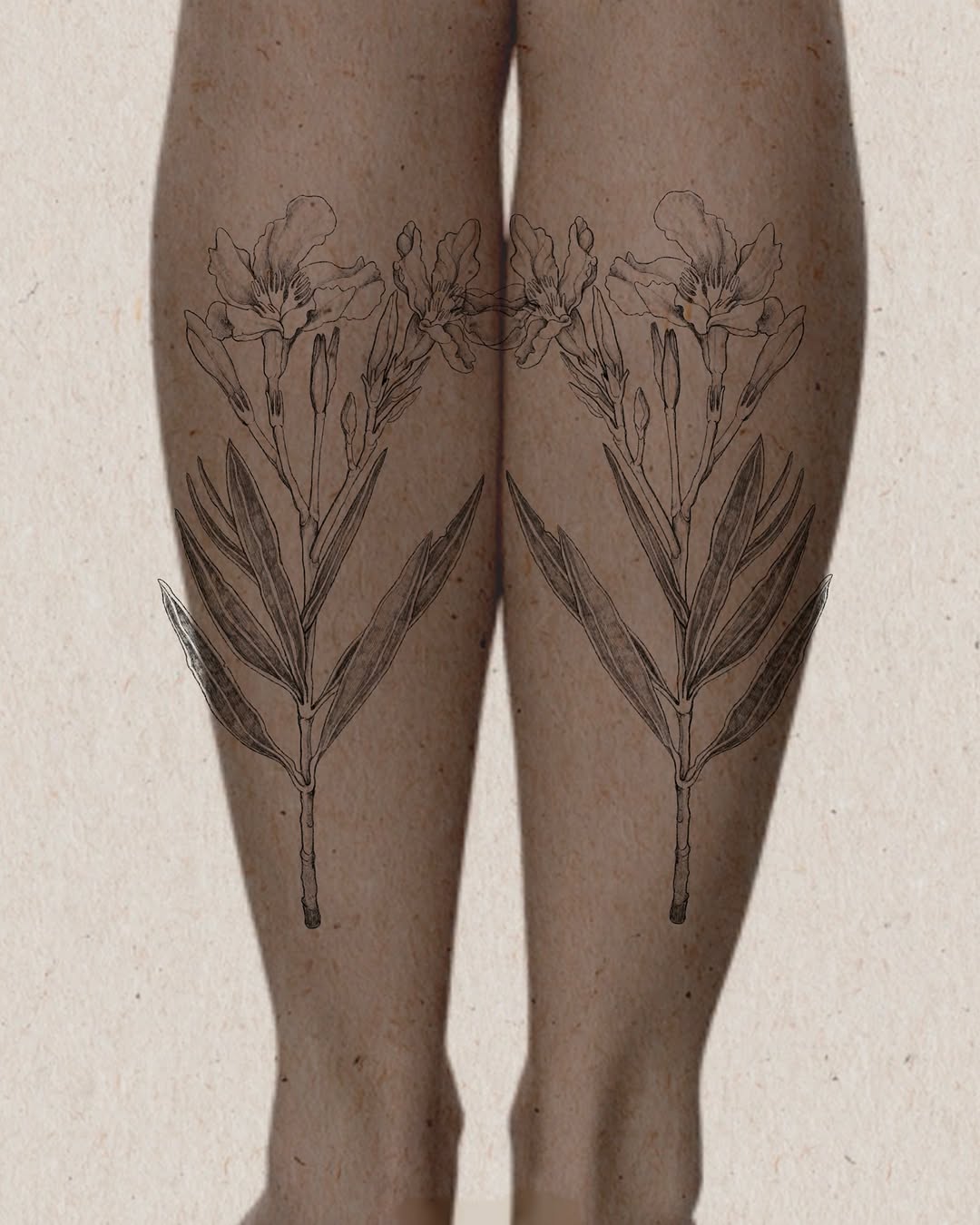 Tattoo by @crispyorchids — fine_line, illustrative