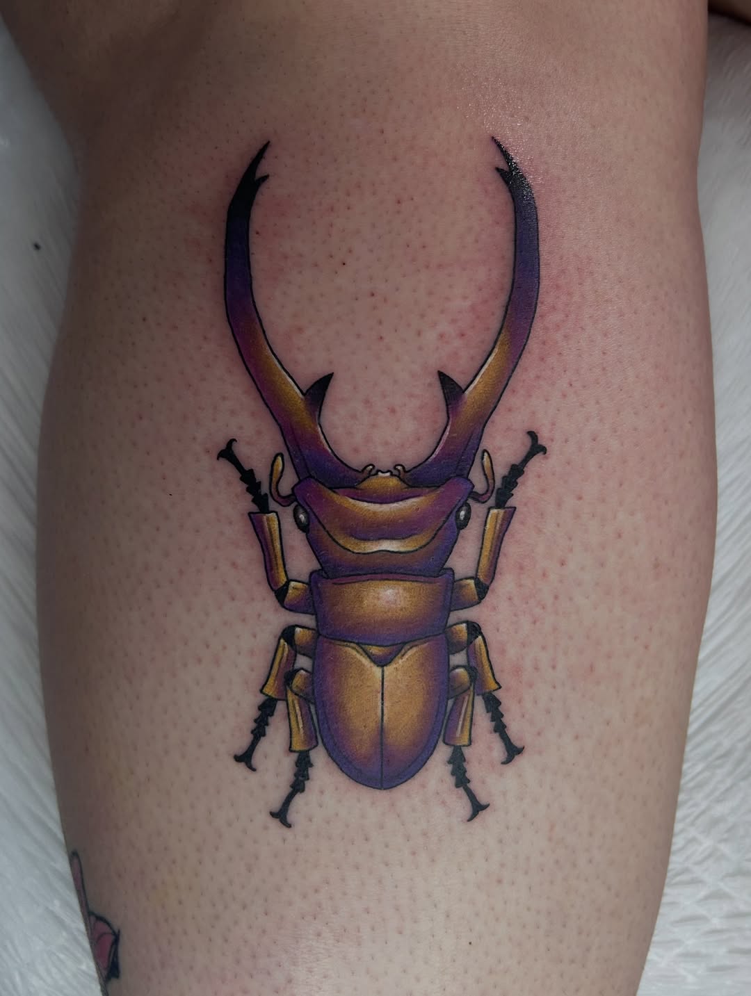 Tattoo by @marinajayd_tattoos — new_school