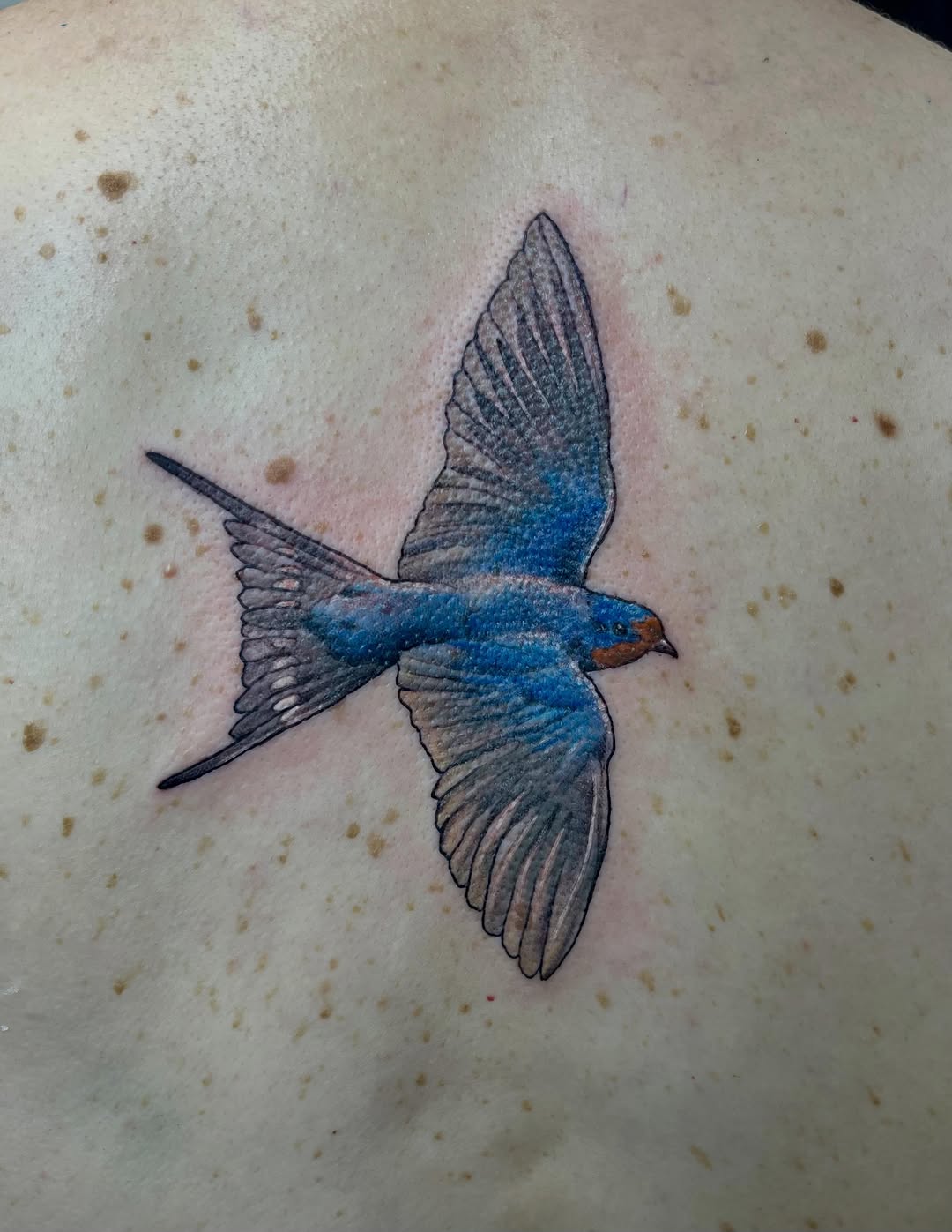 Tattoo by @necro_comicon — realism, fine_line