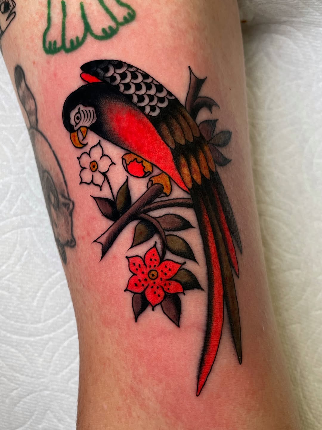 Tattoo by @niko.mulhearn — american_traditional