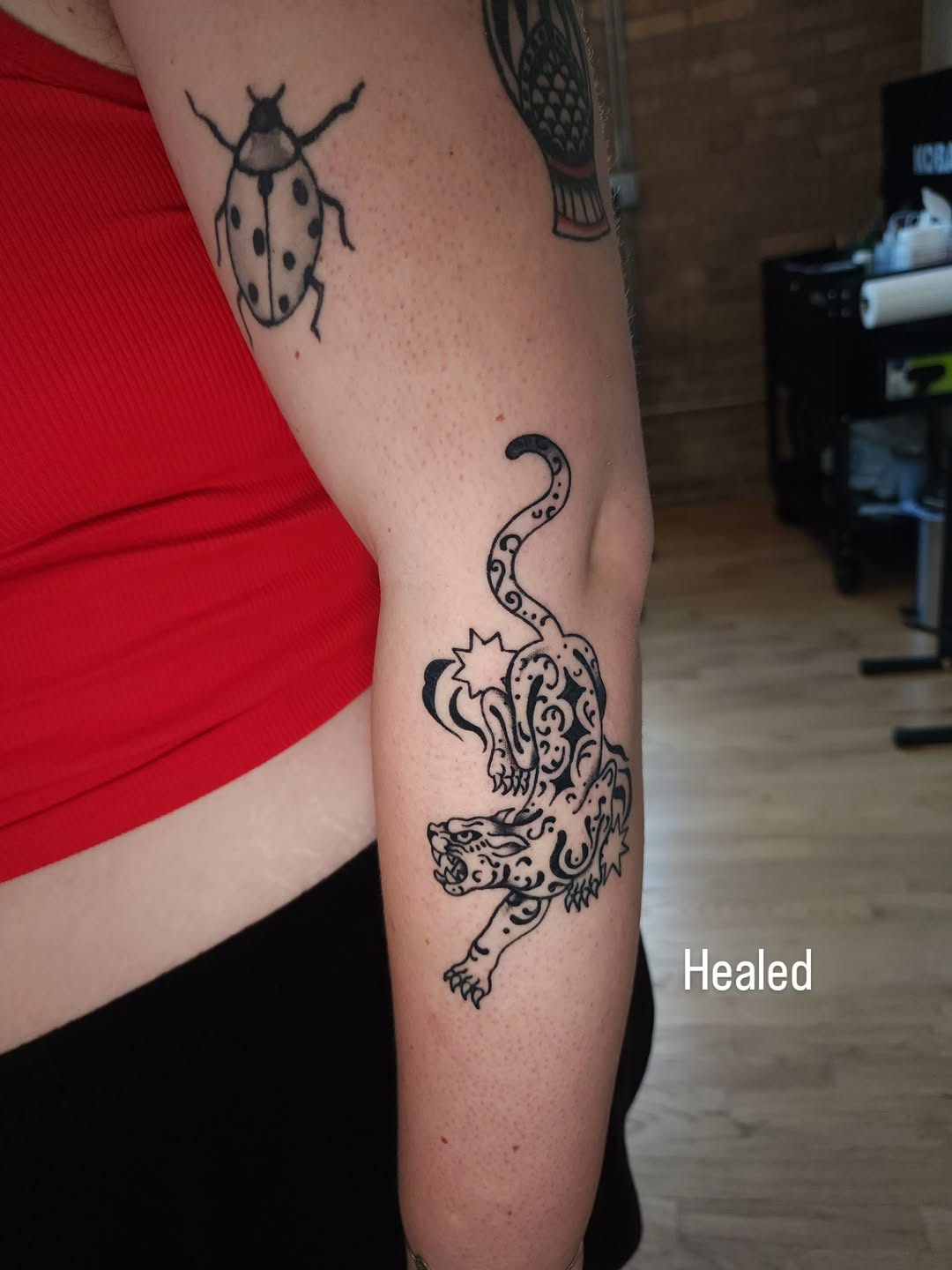 Tattoo by @maxinestewart — illustrative, blackwork