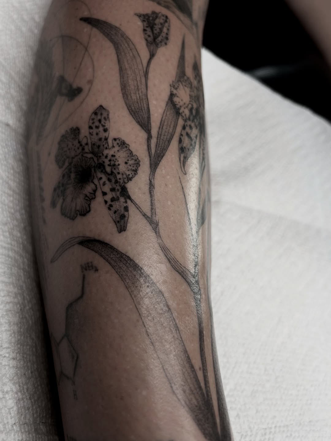 Tattoo by @savmaxtatz โ black_and_grey, fine_line