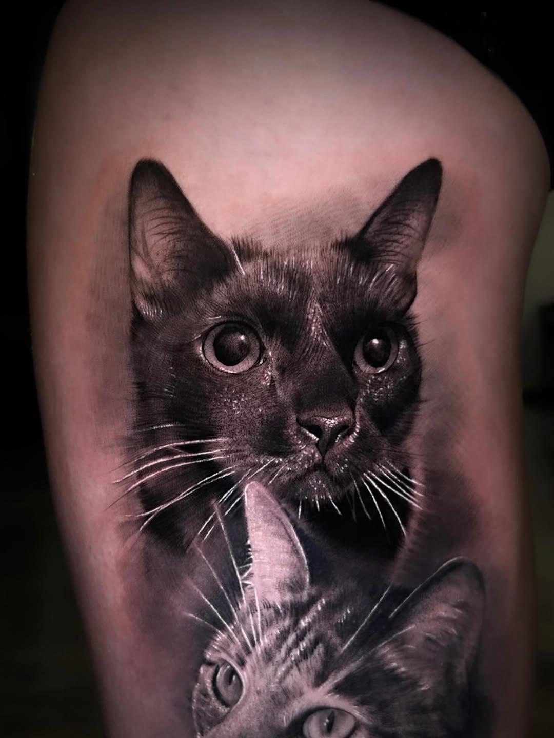 Tattoo by @cxrsmeiertattoos — realism, black_and_grey