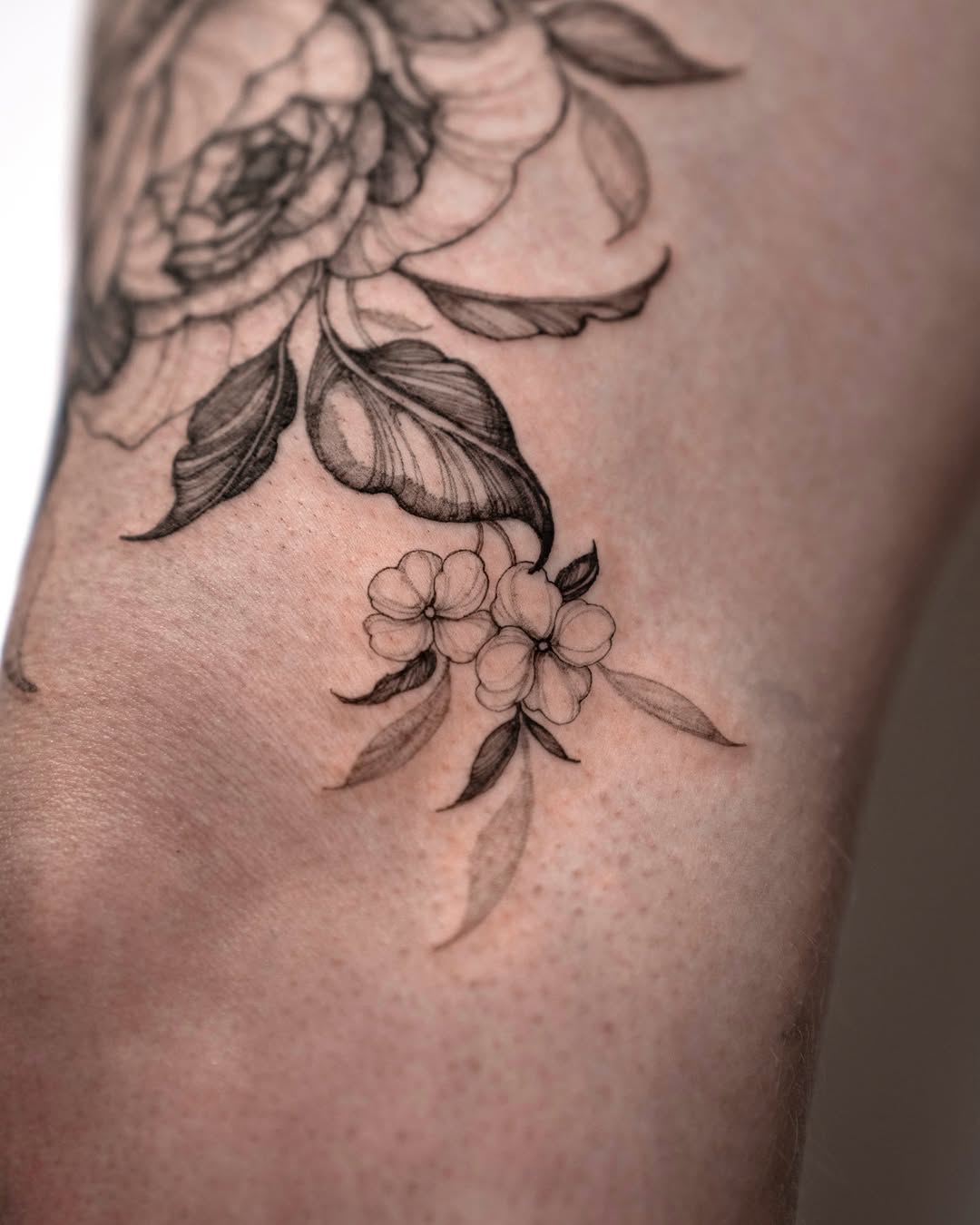 Tattoo by @vanya.ink — fine_line, black_and_grey