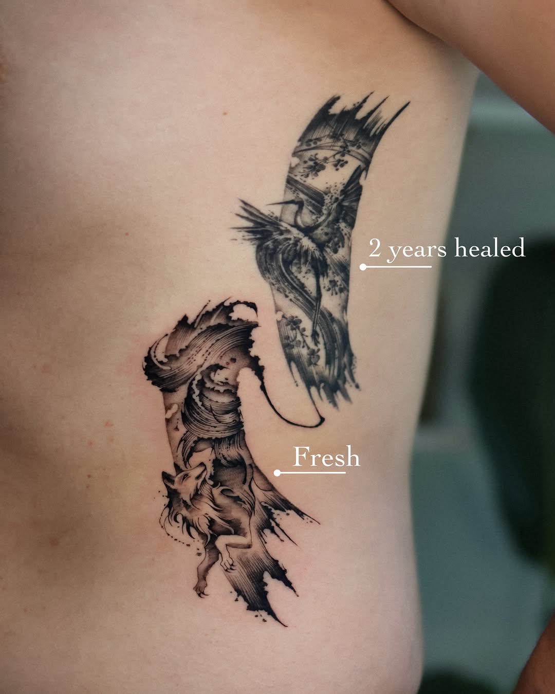 Tattoo by @orca._ink — black_and_grey, illustrative