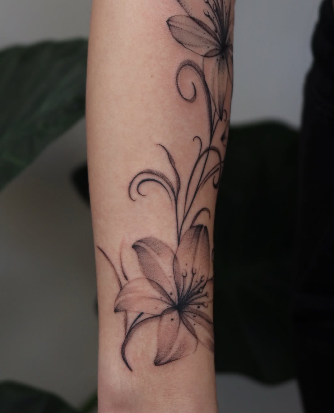 Tattoo by @bails.artt β black_and_grey, fine_line