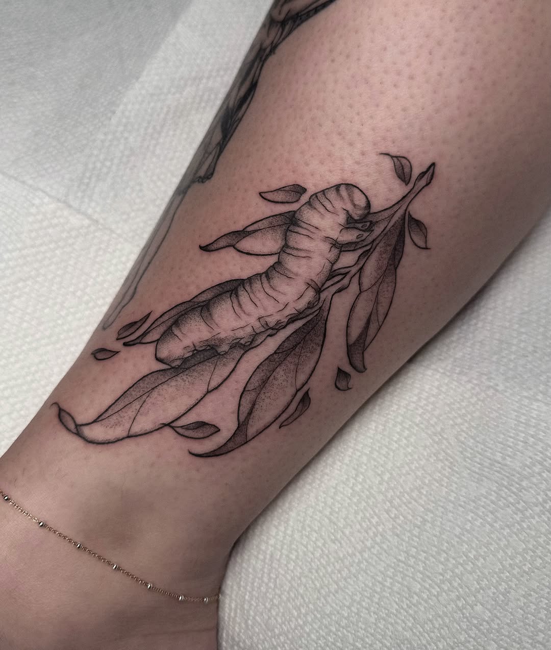 Tattoo by @jessbloomtattoo — black_and_grey