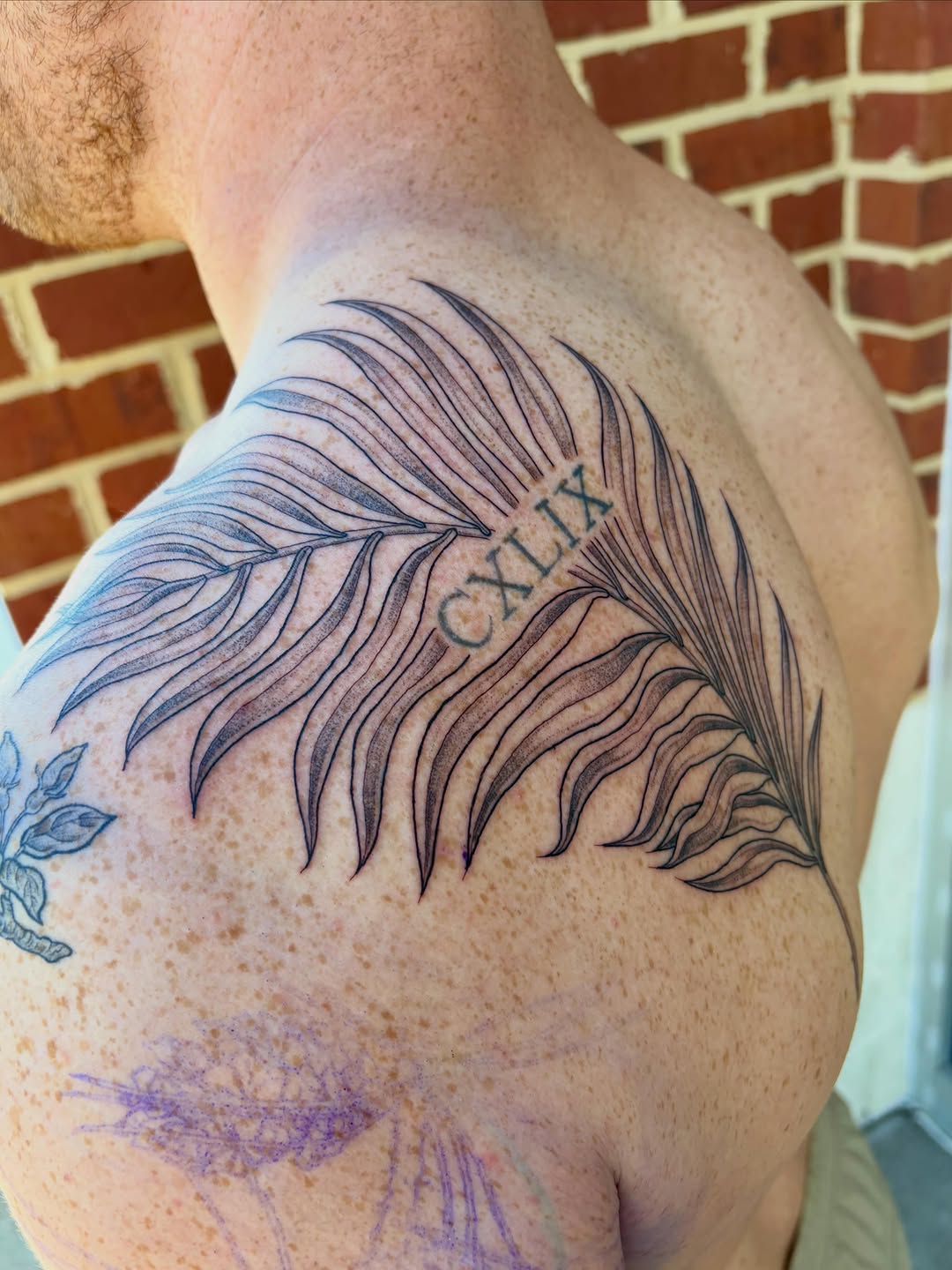 Tattoo by @drawingplantsandthings — fine_line