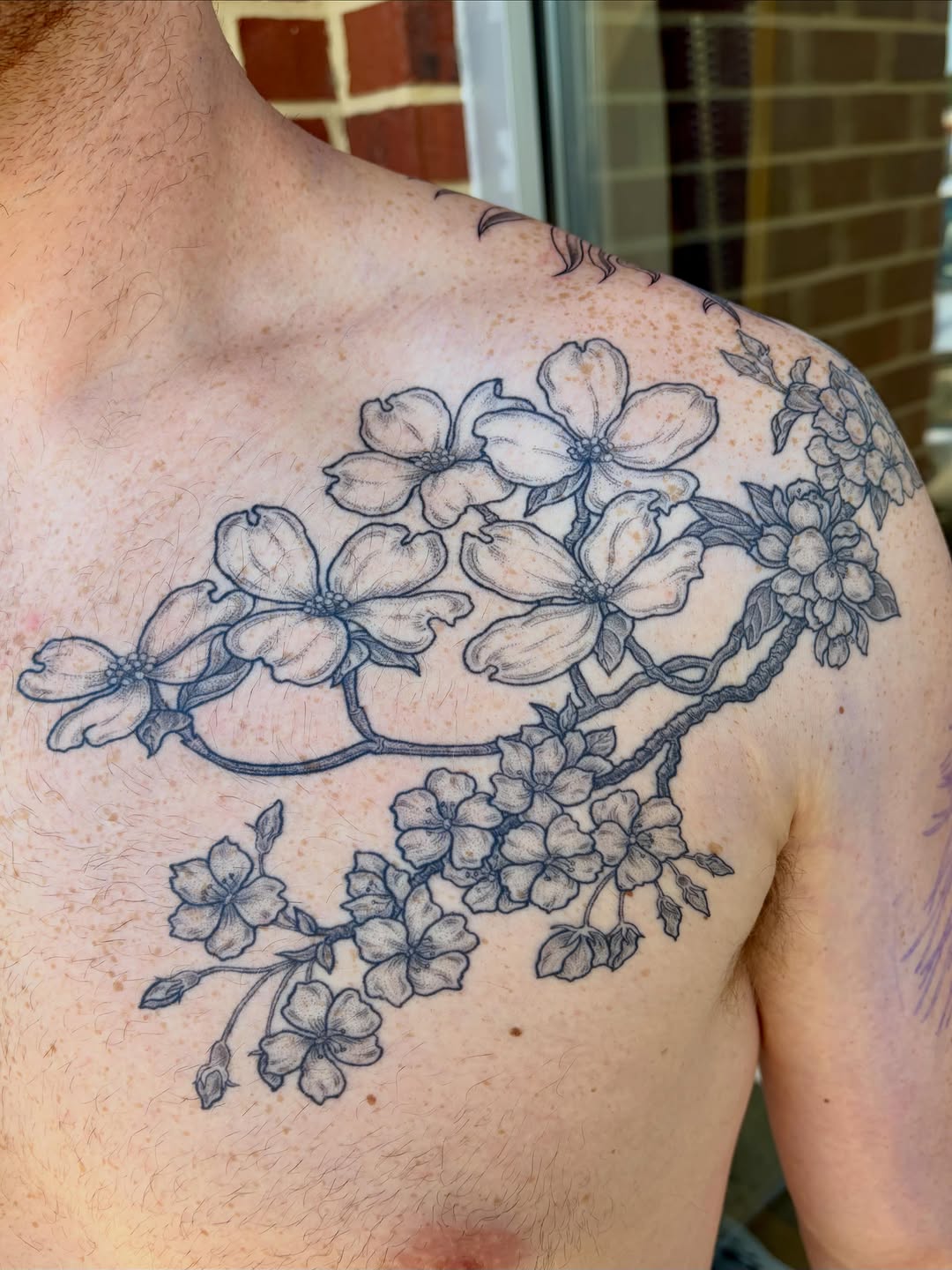 Tattoo by @drawingplantsandthings — black_and_grey