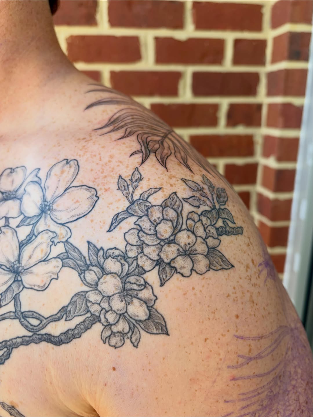 Tattoo by @drawingplantsandthings — black_and_grey