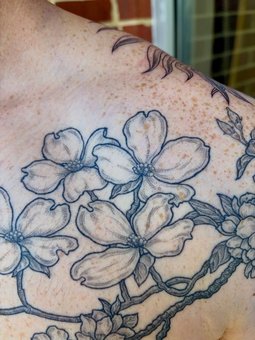 Tattoo by @drawingplantsandthings — black_and_grey