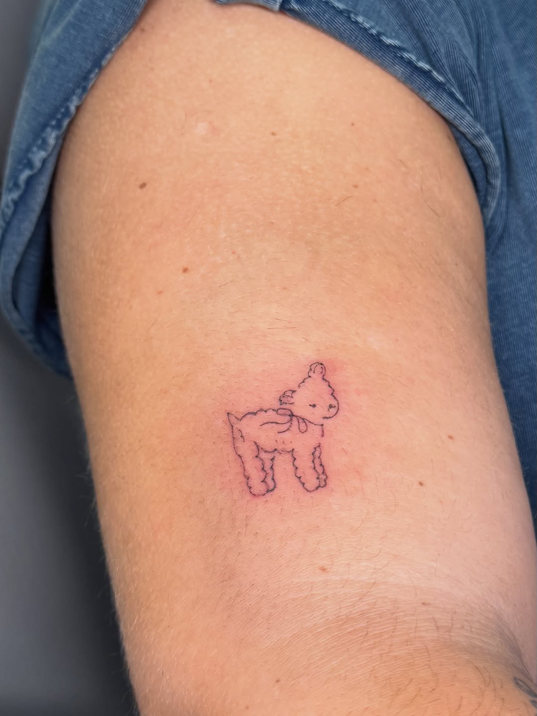 Tattoo by @inkbynicolee — fine_line, illustrative