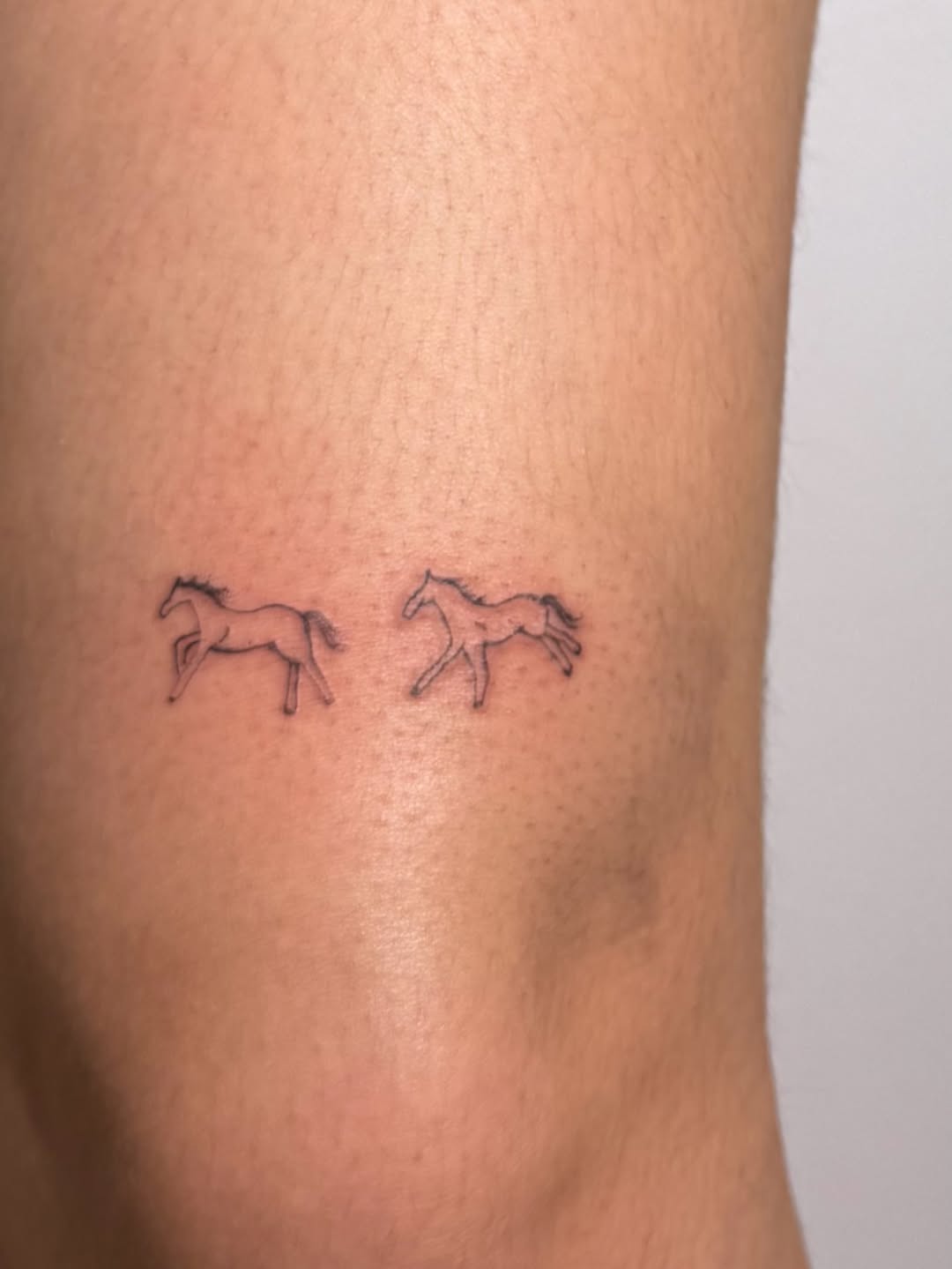Tattoo by @inkbynicolee — fine_line, illustrative