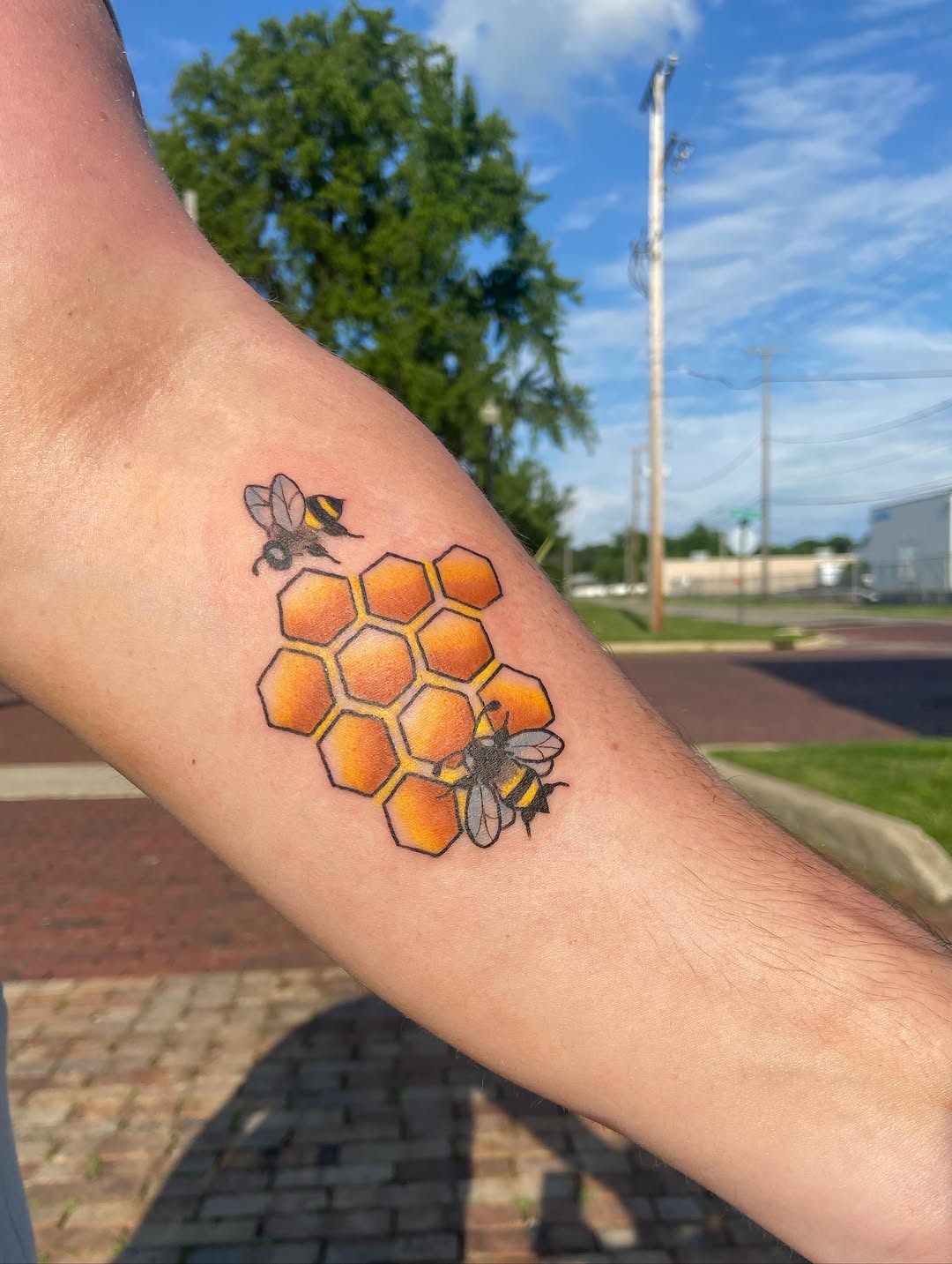 Tattoo by @cam.feraltattoos — illustrative, new_school