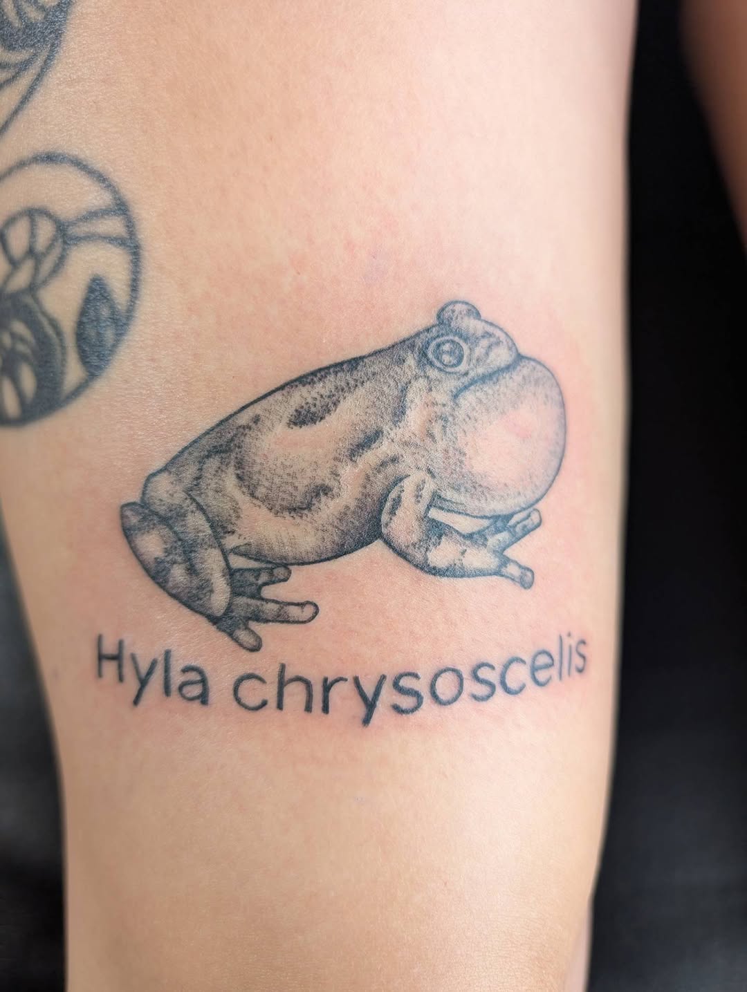 Tattoo by @hearthcreativestudios โ realism, lettering_script