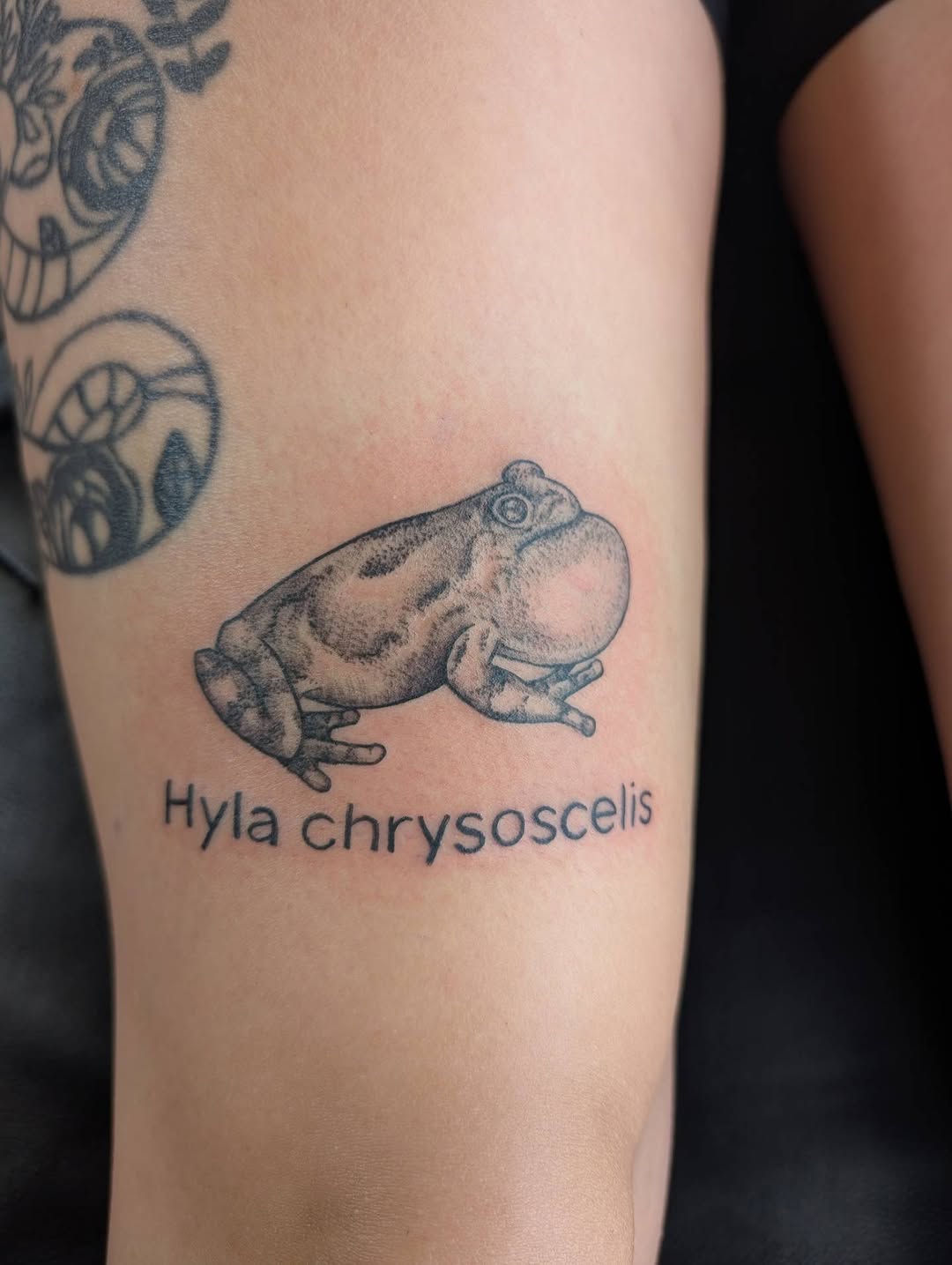 Tattoo by @hearthcreativestudios โ black_and_grey, realism