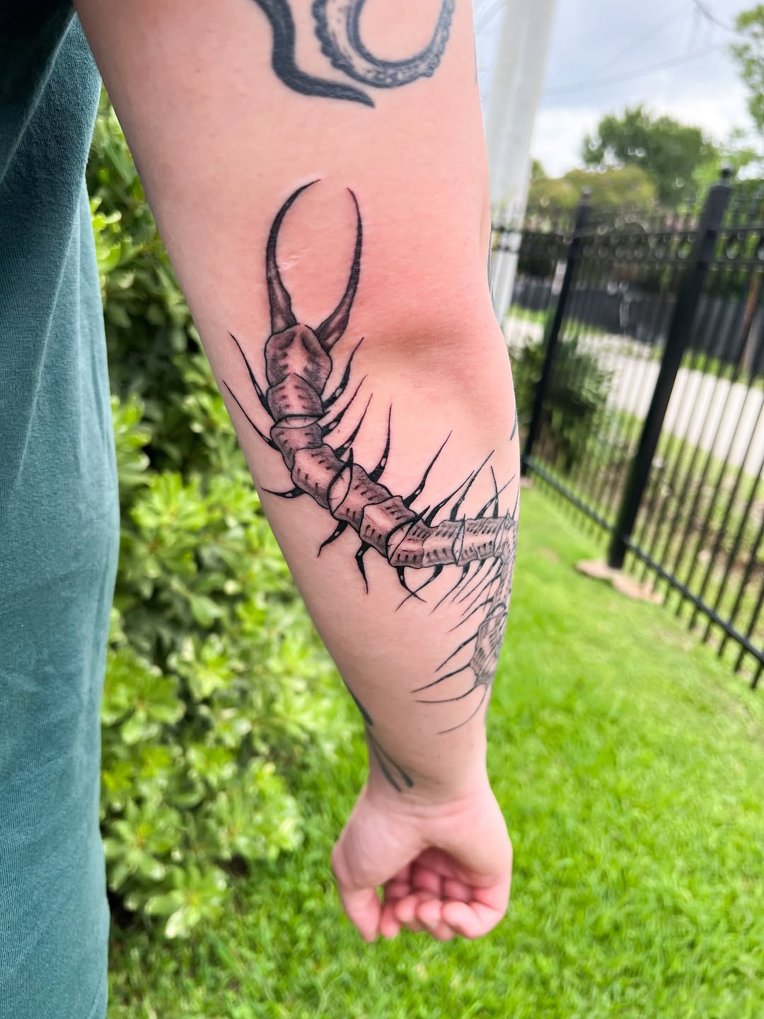 Tattoo by @mortismarauder — black_and_grey, realism