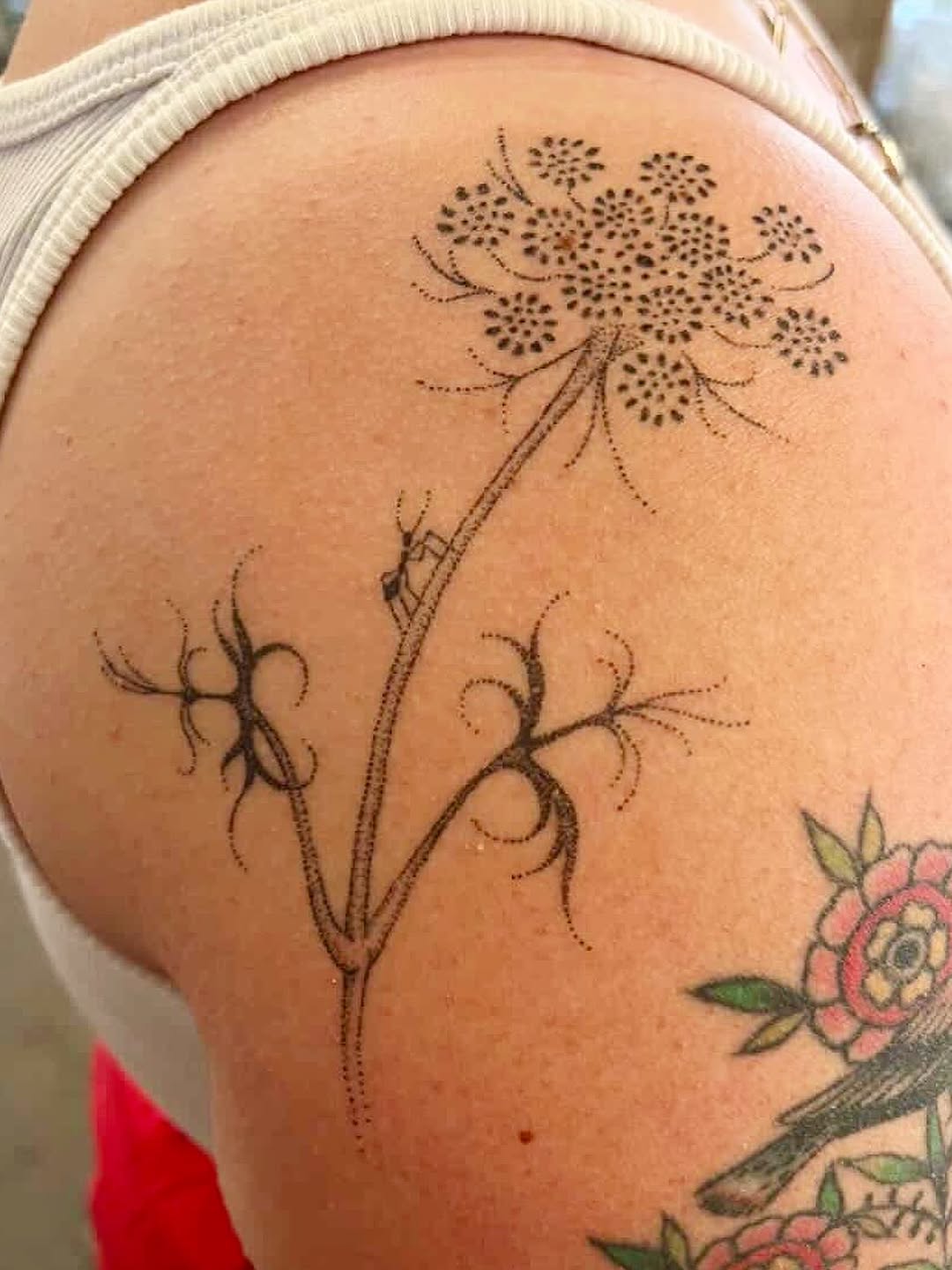 Tattoo by @nicoletty_ — dotwork