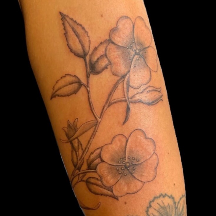 Tattoo by @enda_tattoo — illustrative, black_and_grey