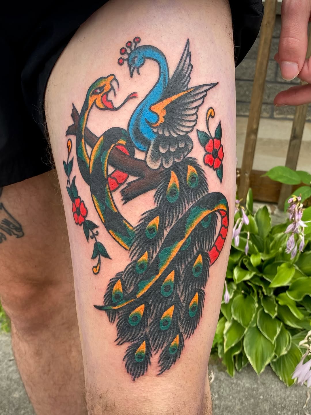 Tattoo by @painless_jack — american_traditional