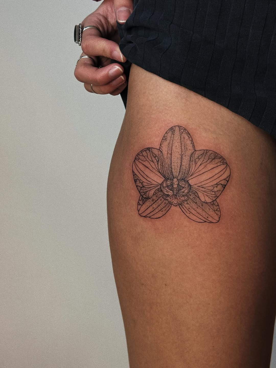 Tattoo by @artpavt — fine_line, illustrative