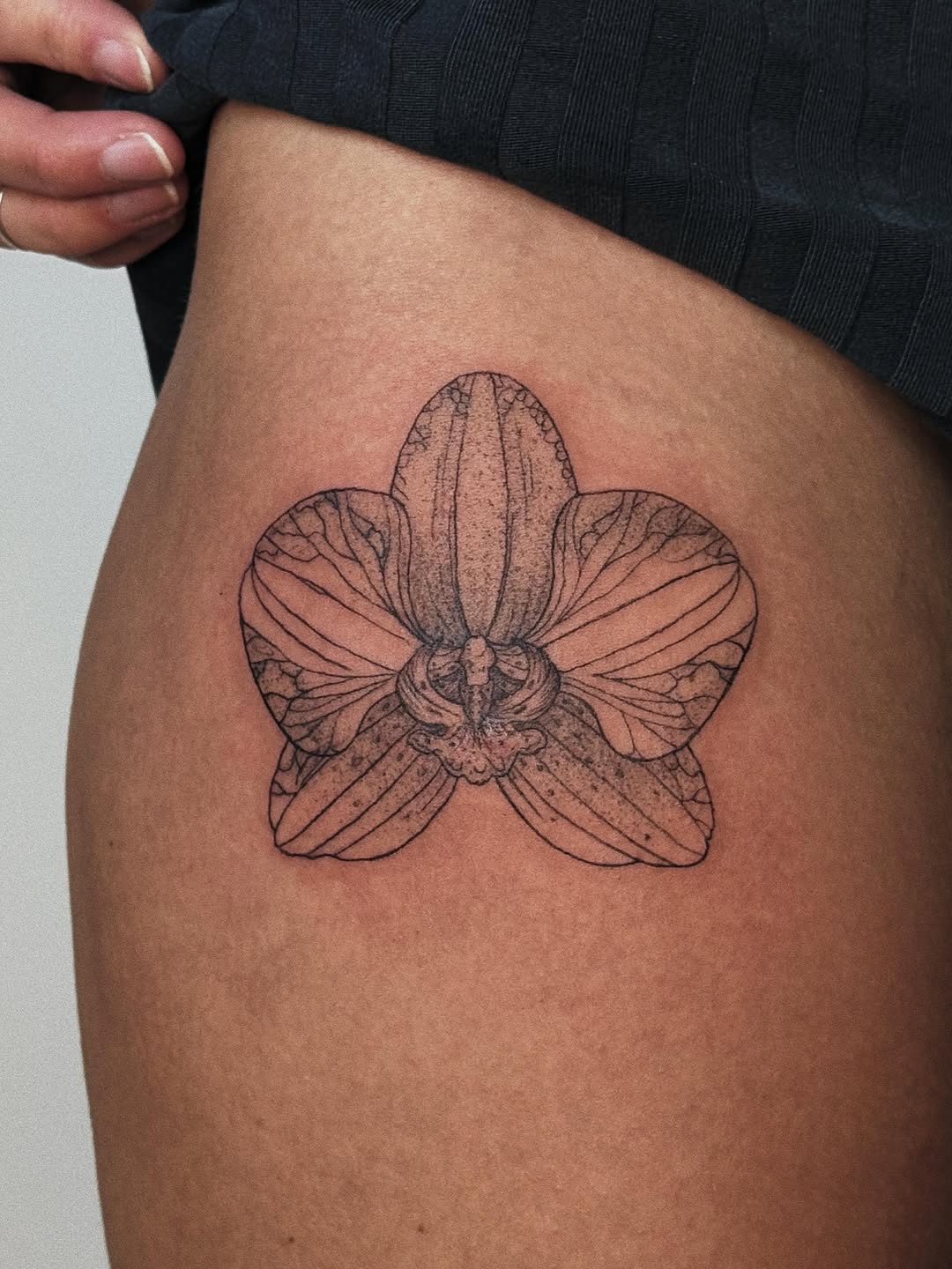 Tattoo by @artpavt — fine_line, illustrative