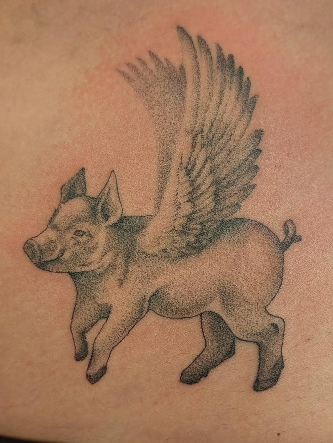 Tattoo by @sweetnothingsink — dotwork
