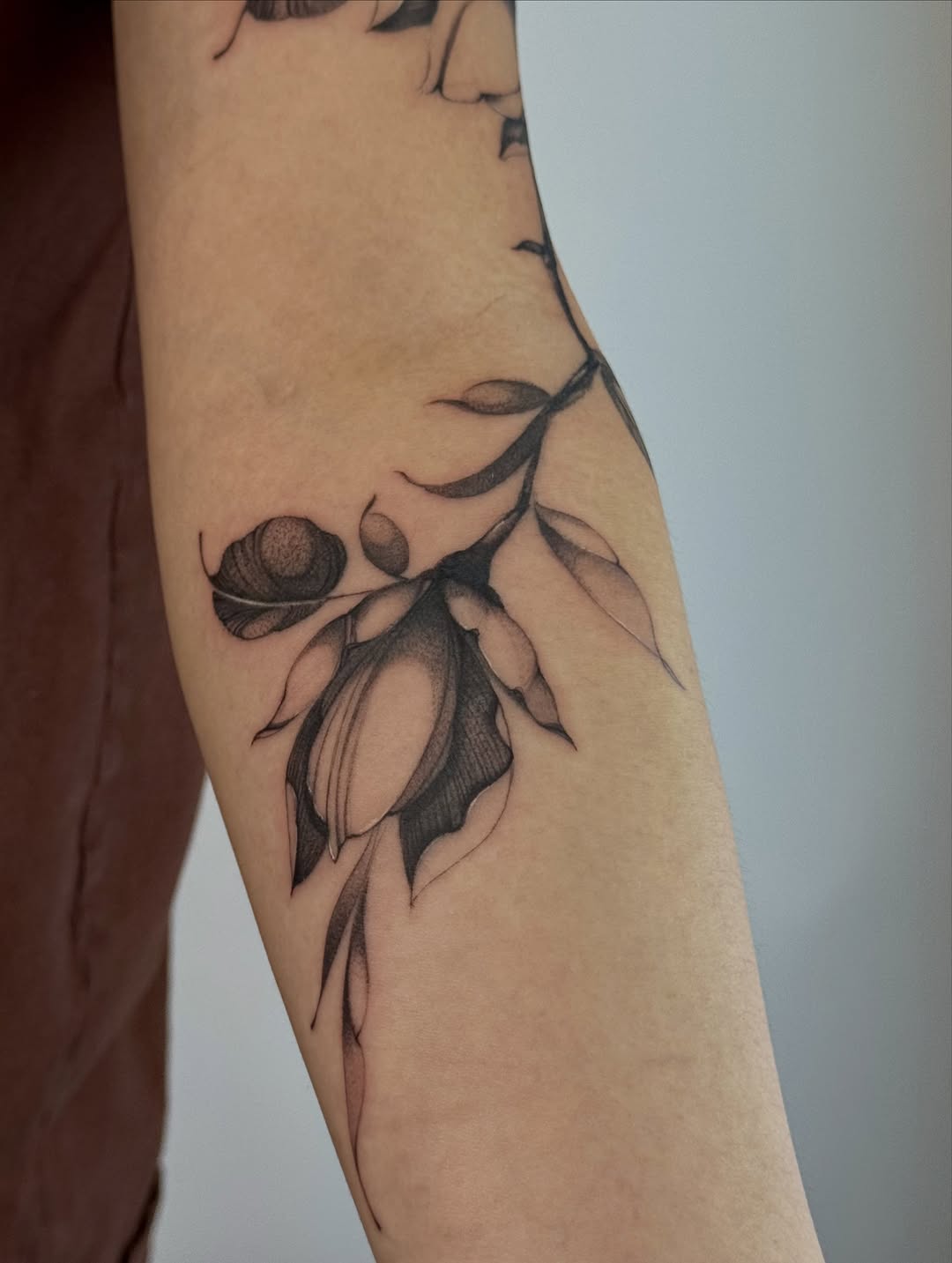 Tattoo by @medusas.ink.co — illustrative, black_and_grey