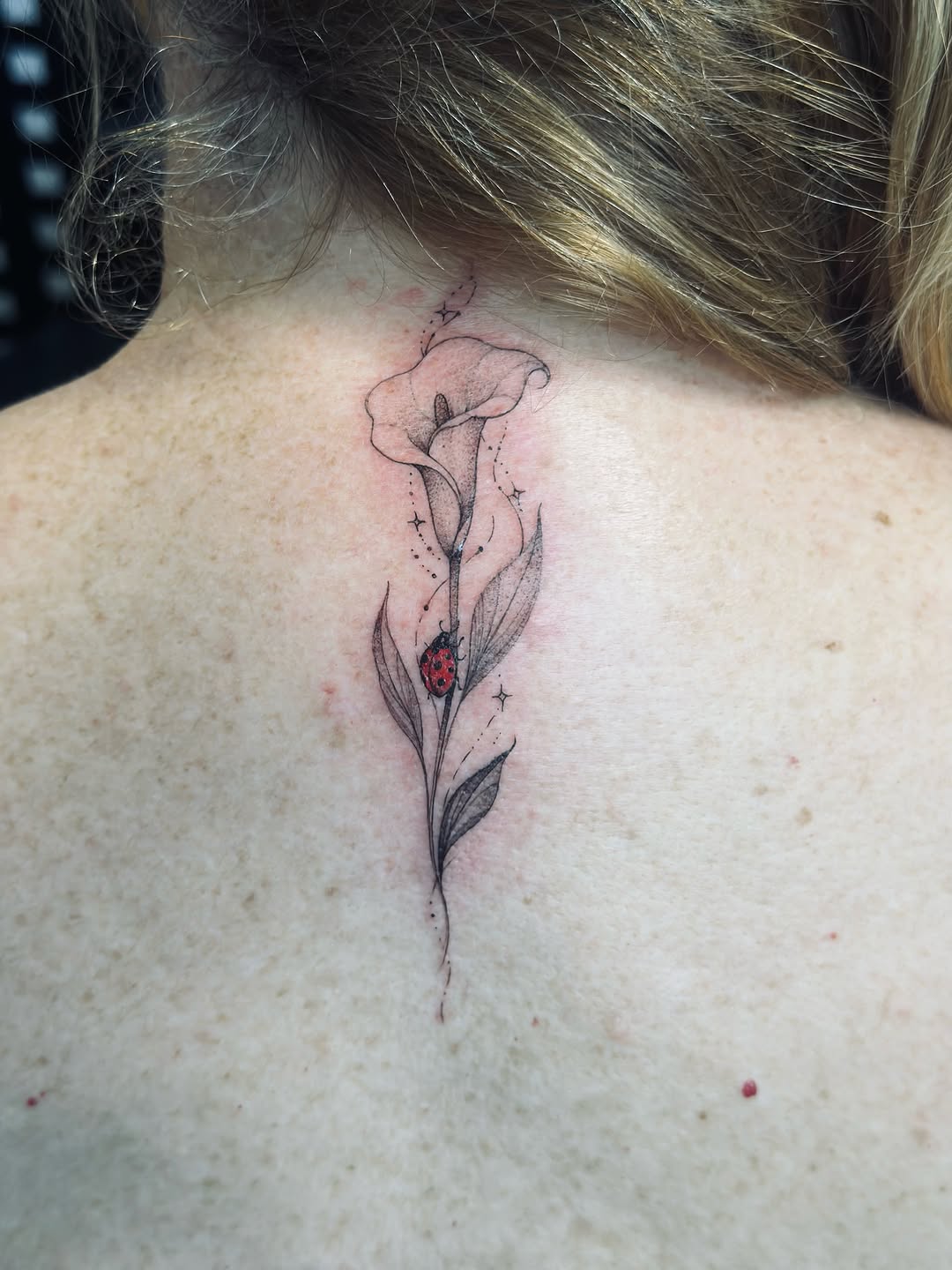 Tattoo by @xiu.tattoos — fine_line, black_and_grey