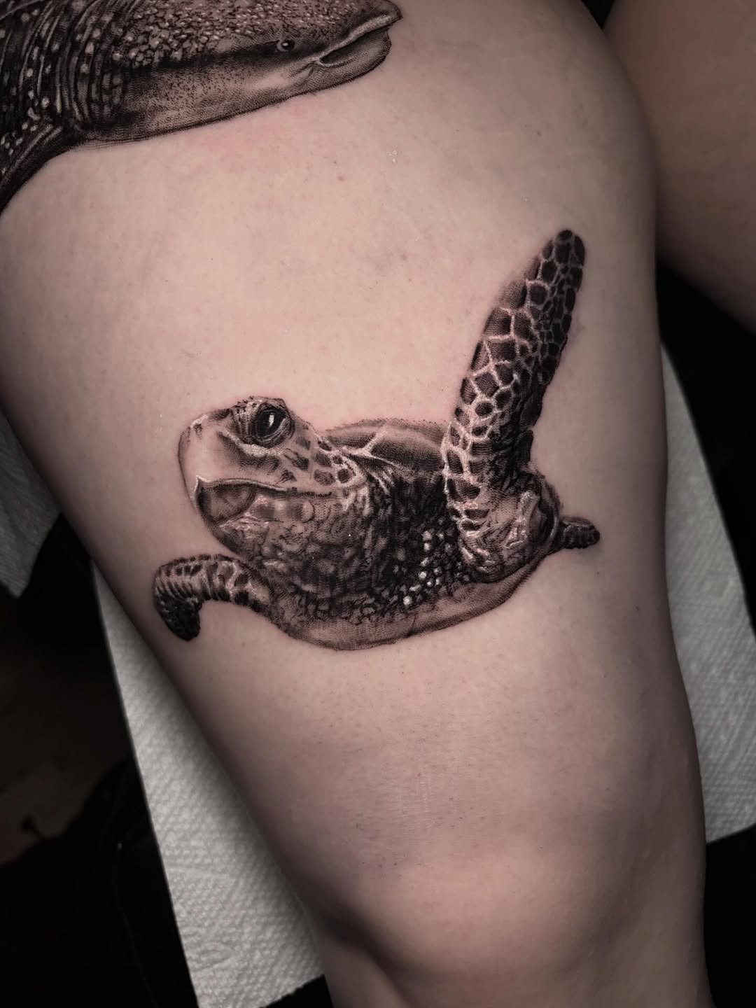 Tattoo by @ashleydenisetattoos β realism, black_and_grey