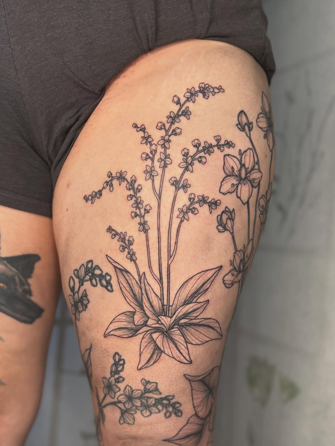 Tattoo by @noelle_adrienne — fine_line, black_and_grey