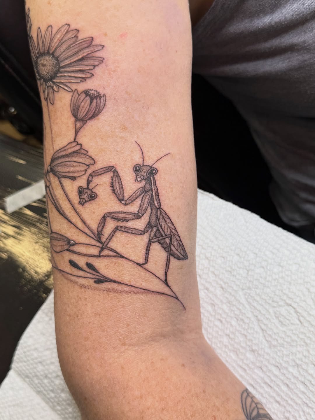 Tattoo by @lainey_tattoos — fine_line
