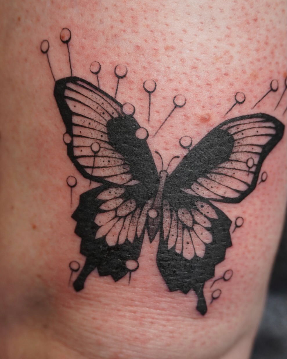 Tattoo by @scaredy.cat.tatts — blackwork, fine_line