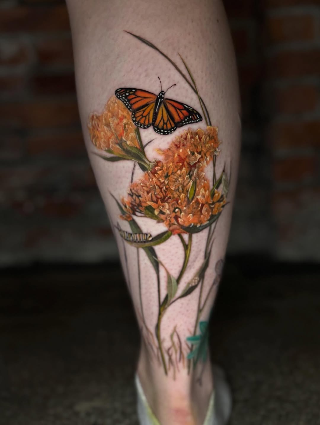 Tattoo by @isabelsmithtattoos — realism, illustrative