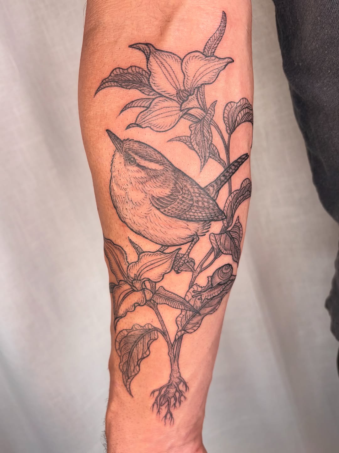 Tattoo by @maggiechotattoo — black_and_grey, realism