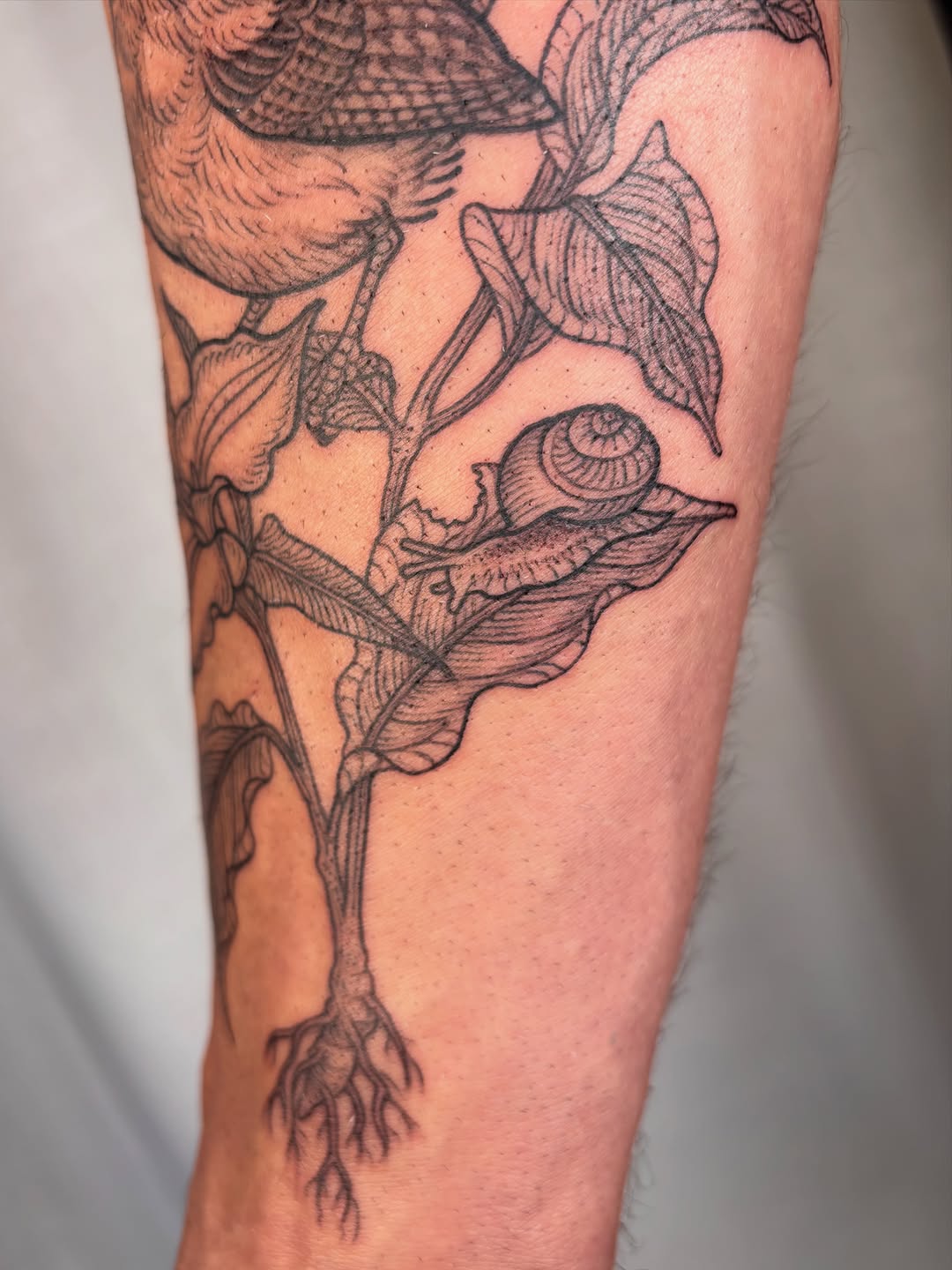 Tattoo by @maggiechotattoo — illustrative, black_and_grey