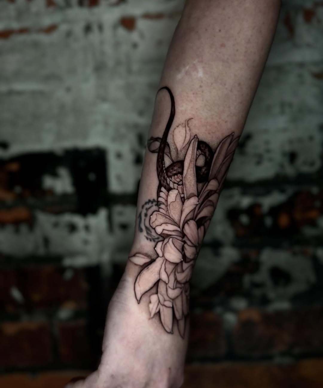 Tattoo by @isabelsmithtattoos — black_and_grey, illustrative