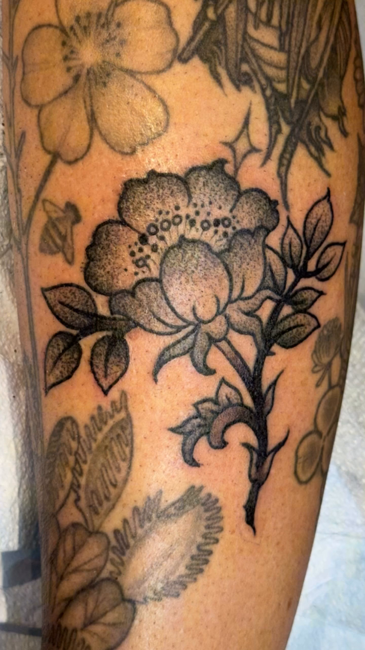 Tattoo by @jentle.tattoos — black_and_grey, dotwork