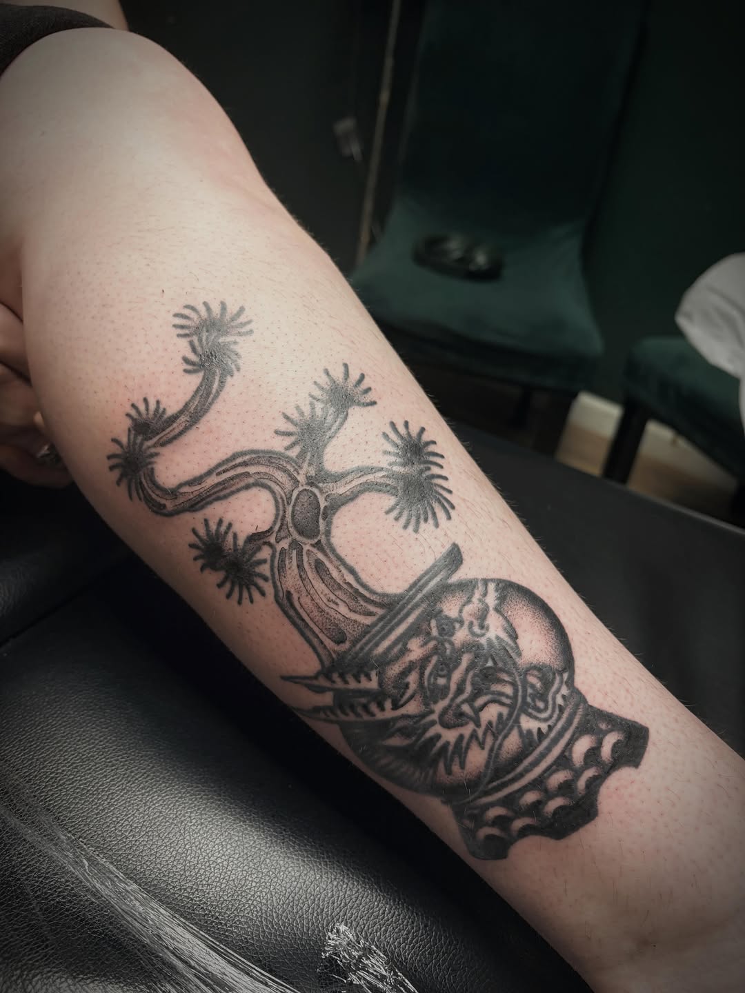 Tattoo by @sassafrastats — black_and_grey, dark_realism