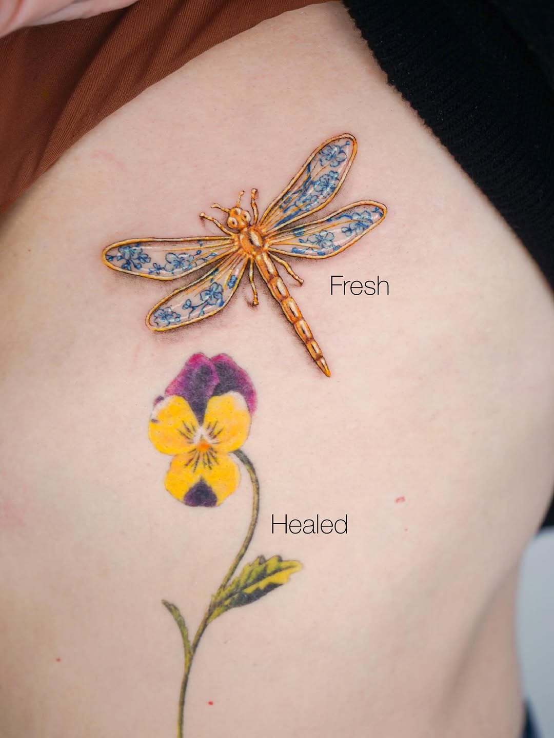 Tattoo by @san.lop.tattoo β realism, fine_line