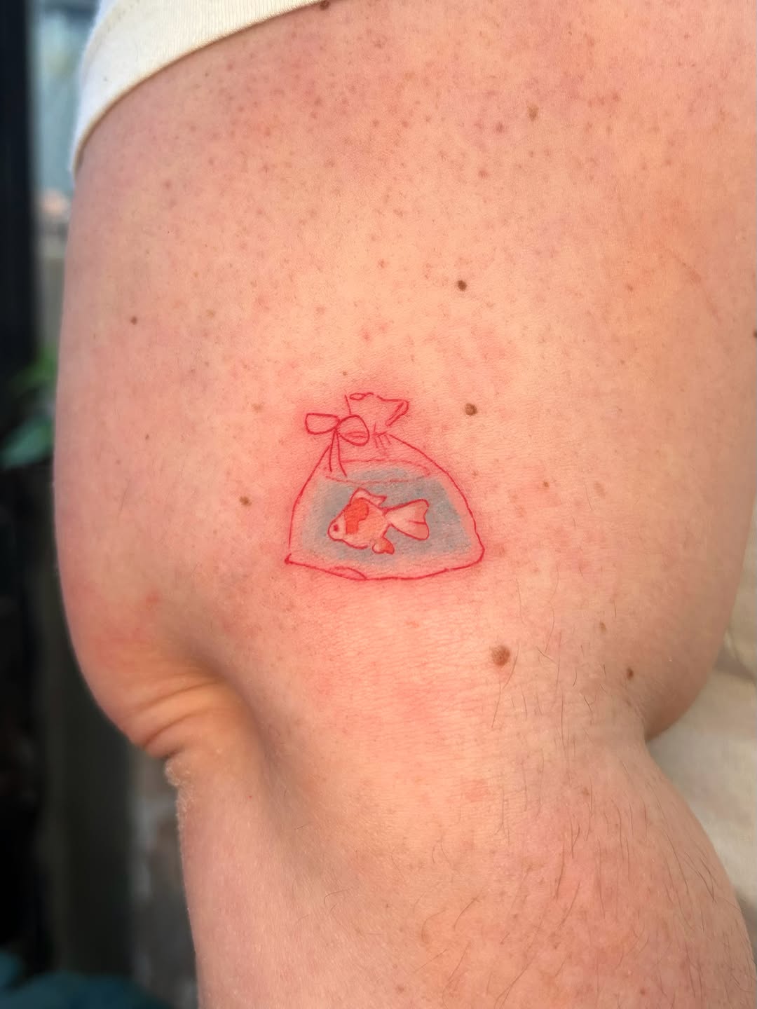 Tattoo by @rainfrog.gg — illustrative, fine_line