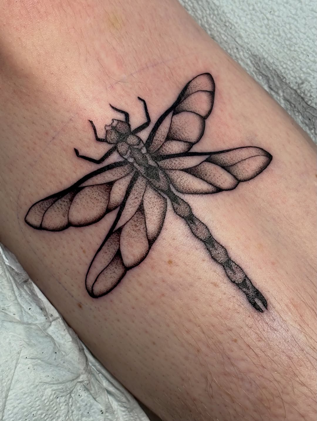 Tattoo by @madisonmakestattoos — dotwork, illustrative