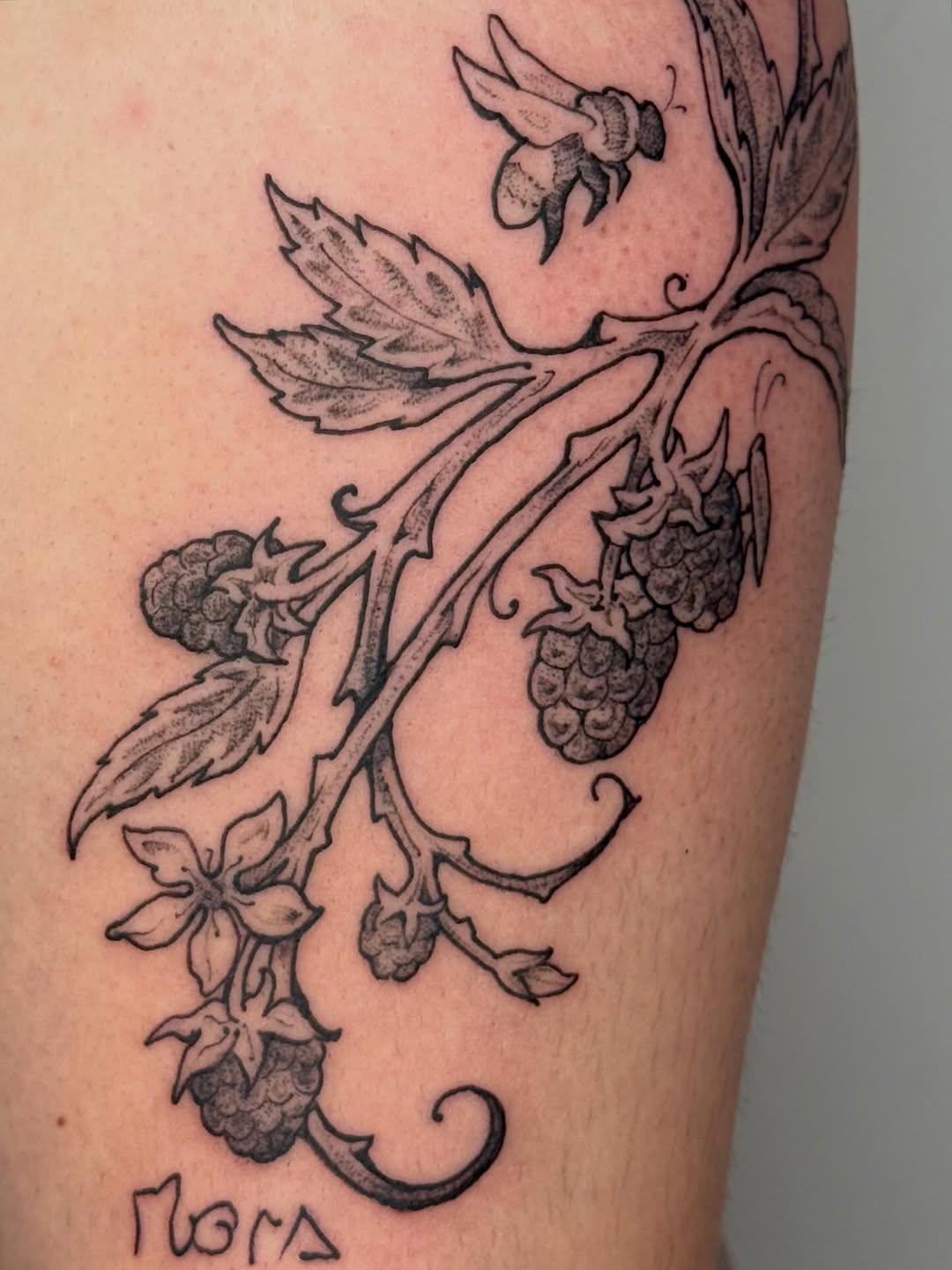 Tattoo by @cat.tatz — illustrative, black_and_grey
