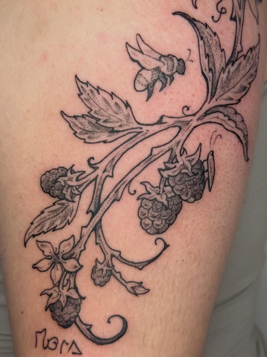 Tattoo by @cat.tatz — illustrative, black_and_grey