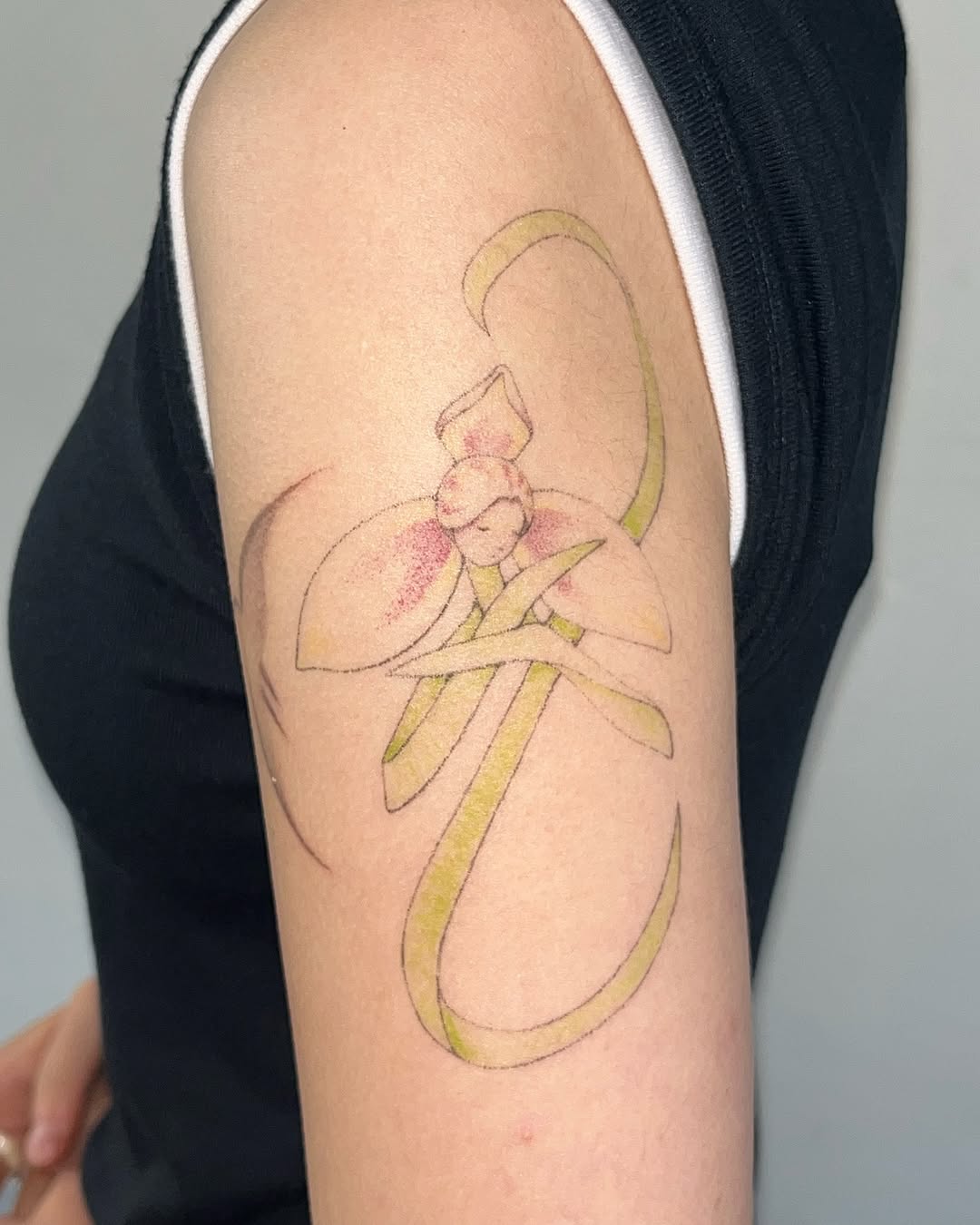 Tattoo by @sobbpp — fine_line, watercolor