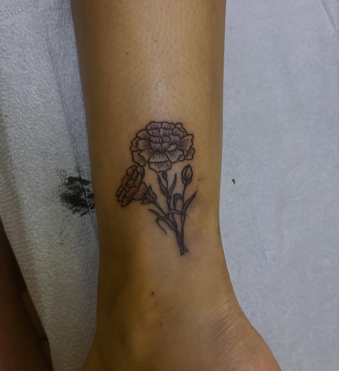 Tattoo by @rafaelaodenetattoos — fine_line, illustrative