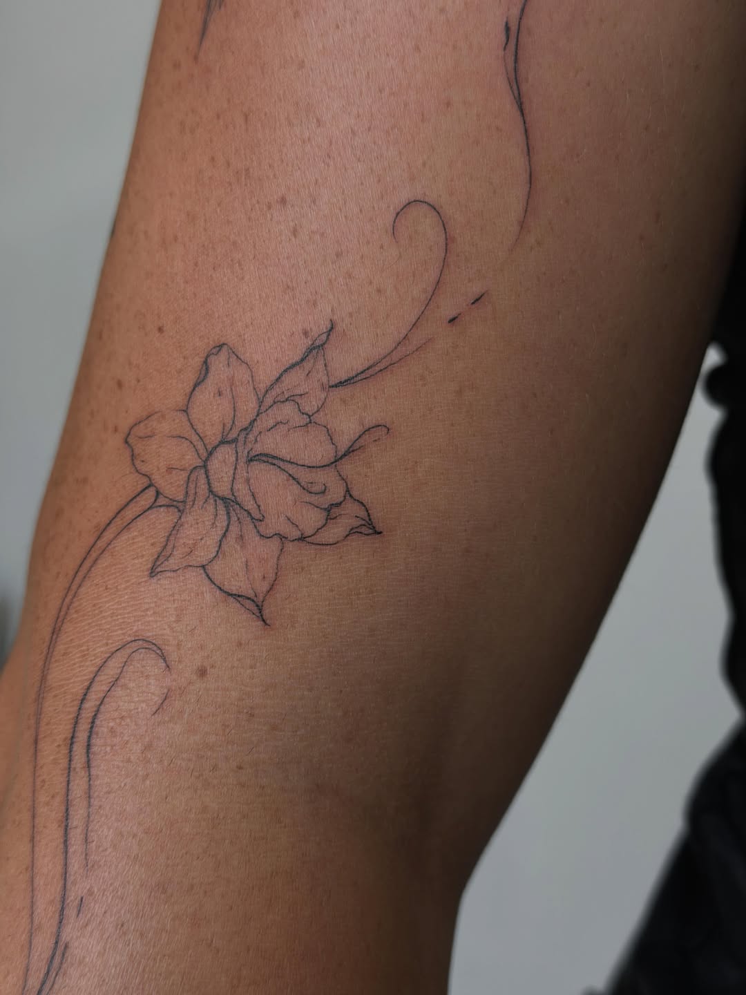 Tattoo by @andyoutattoo — fine_line, illustrative