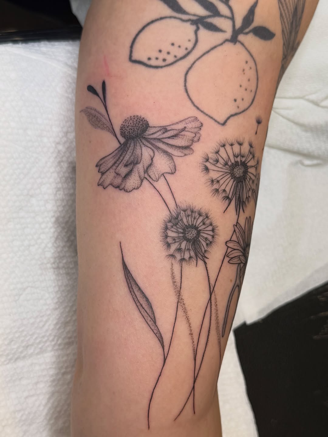 Tattoo by @lainey_tattoos — fine_line, dotwork