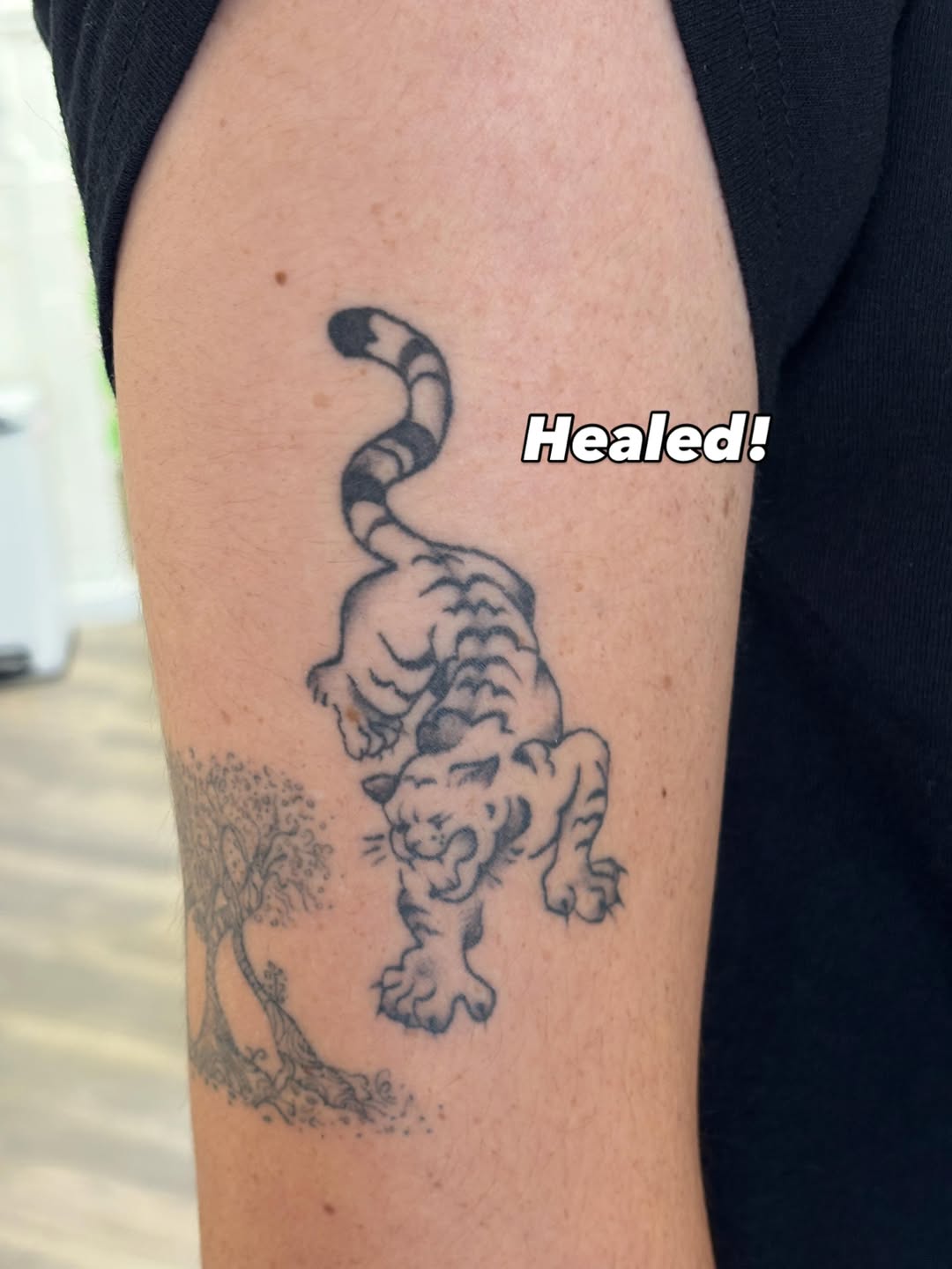Tattoo by @belmont.studios — american_traditional