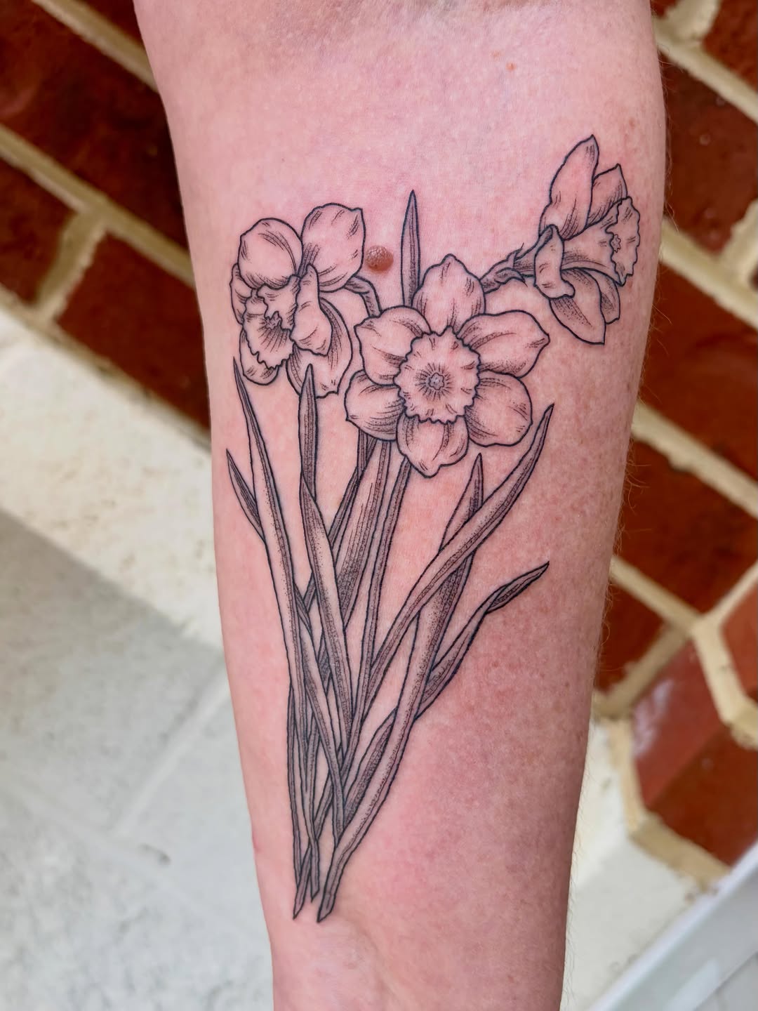 Tattoo by @drawingplantsandthings — fine_line